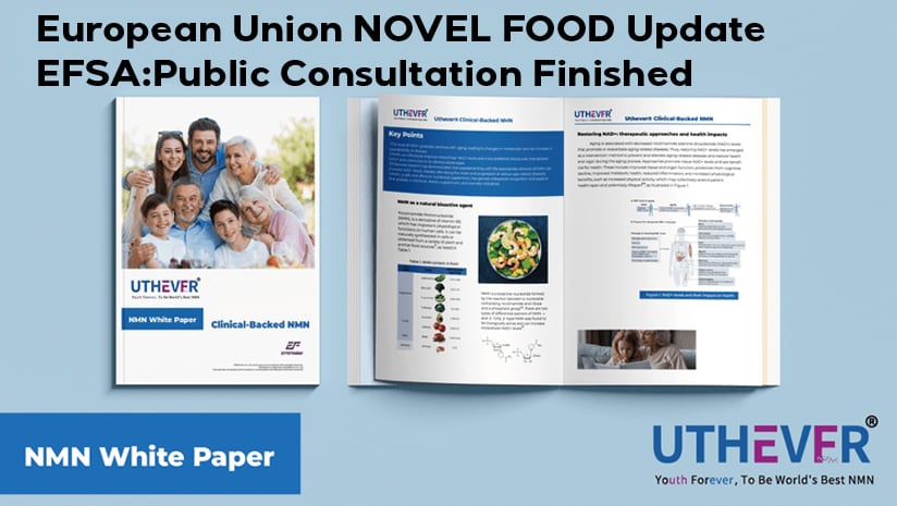 Uthever® NMN NOVEL FOOD Update Download Whitepaper