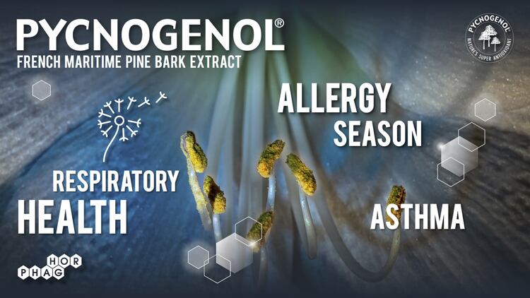 Pycnogenol® naturally prepares you for the next pollen allergy season