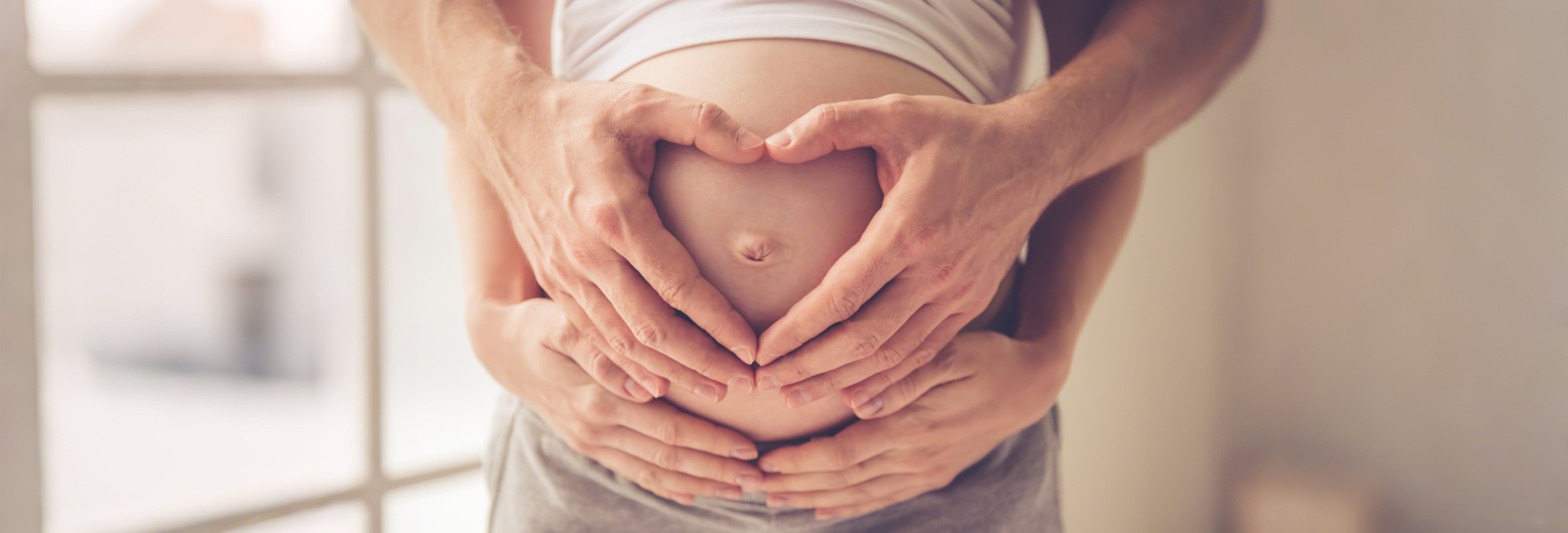 Fisetin: Natural senolytic solution to combat ovarian and sperm aging