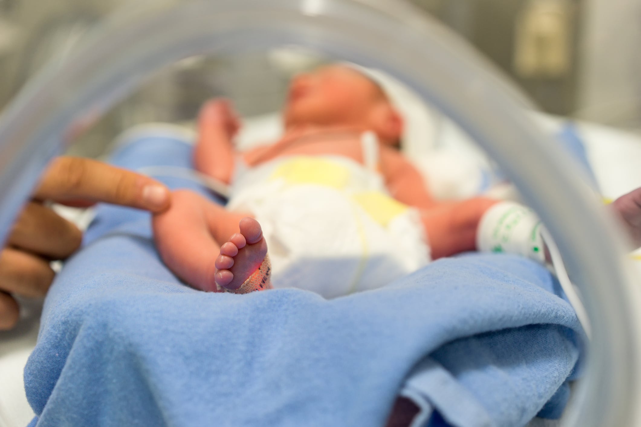 HMOs for NEC: Abbott-Johns Hopkins researchers unlock breastmilk prebiotics intestinal mechanism