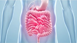 Exploring Low-Dose Postbiotics for Gut Wellness