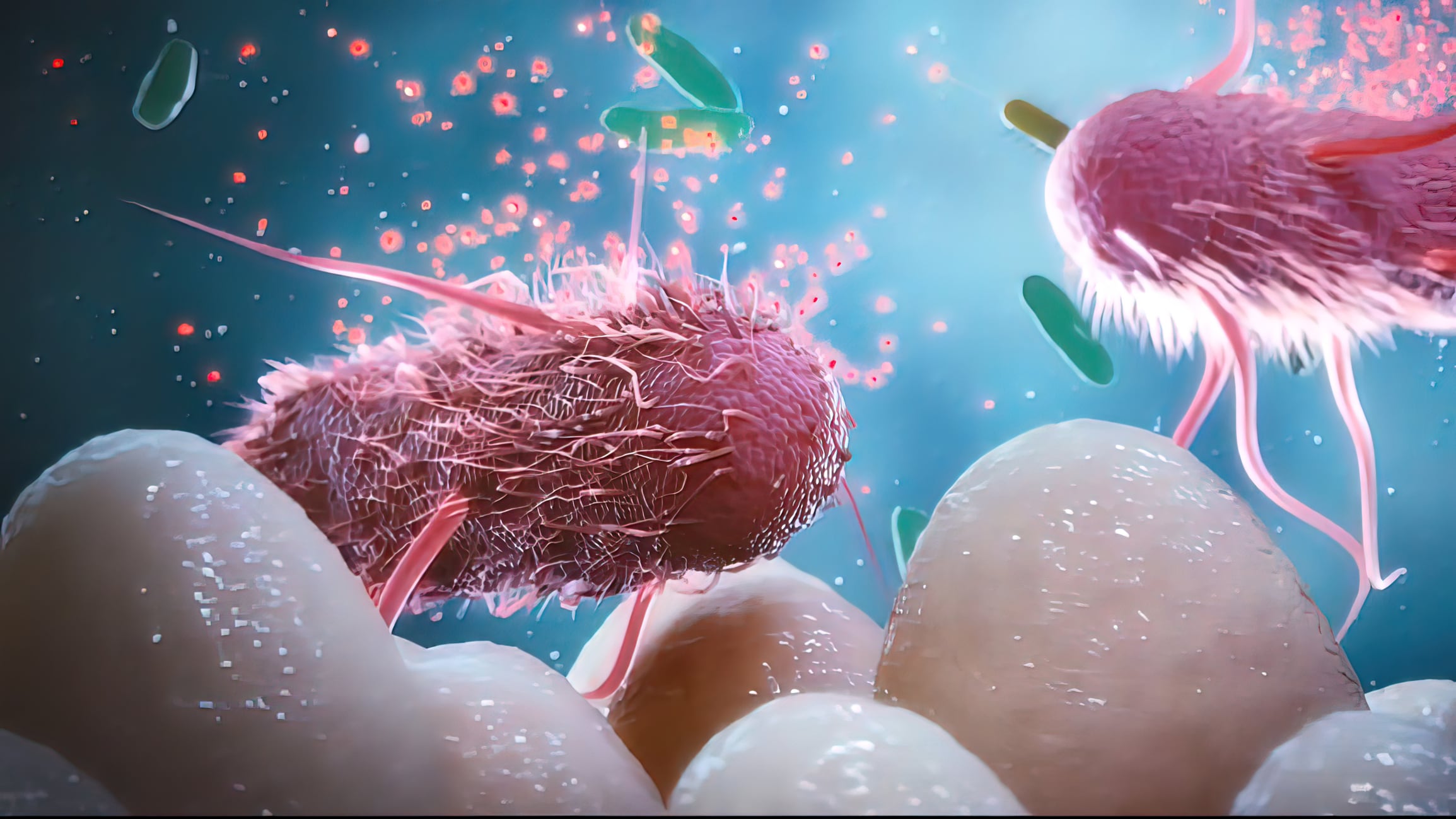 Beyond breastmilk: Ummino brings HMO science to the adult gut
