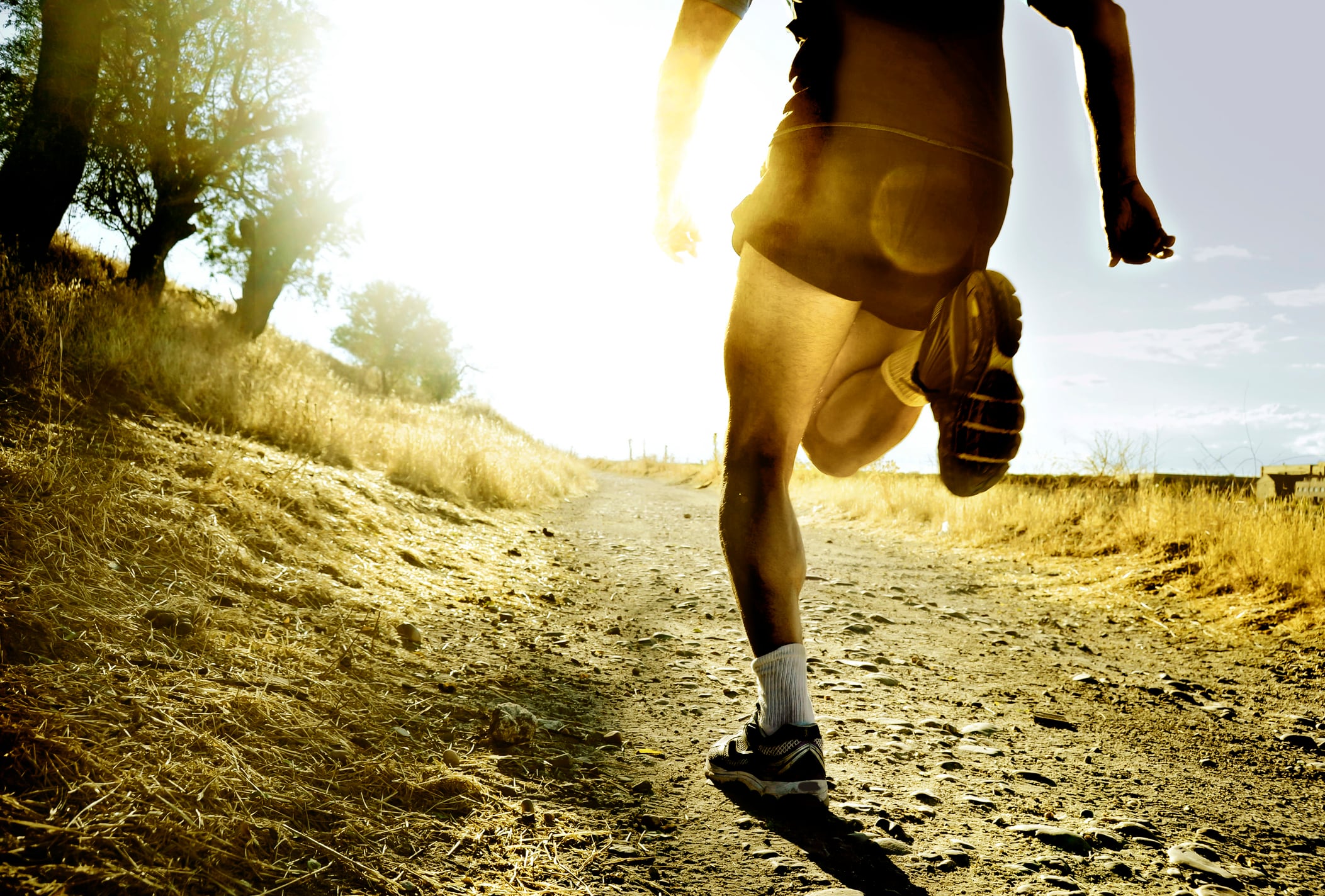 Hofseth Biocare partners with Jim Lavalle and Metabolic Elite 