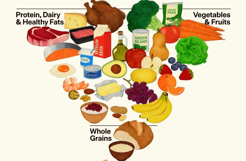 Protein, gut health and opportunity: New dietary guidelines promise to Make America Healthy Again