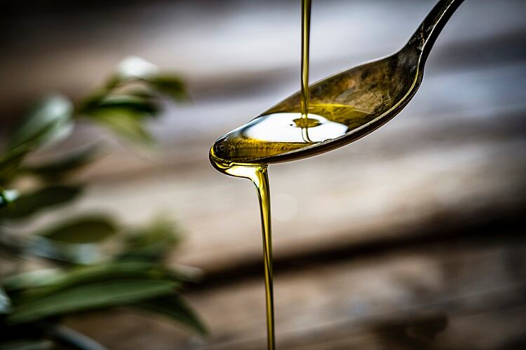 Virgin olive oil intake linked to cognitive preservation via the gut