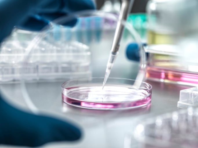 Science shorts: Fucoidan, multivitamins, Tongkat Ali in the spotlight 