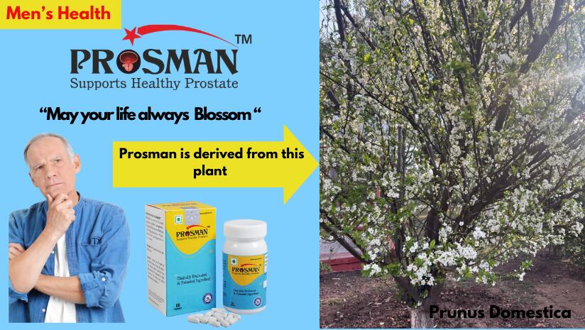 Prosman: Promoting Prostate Health With Plant Power