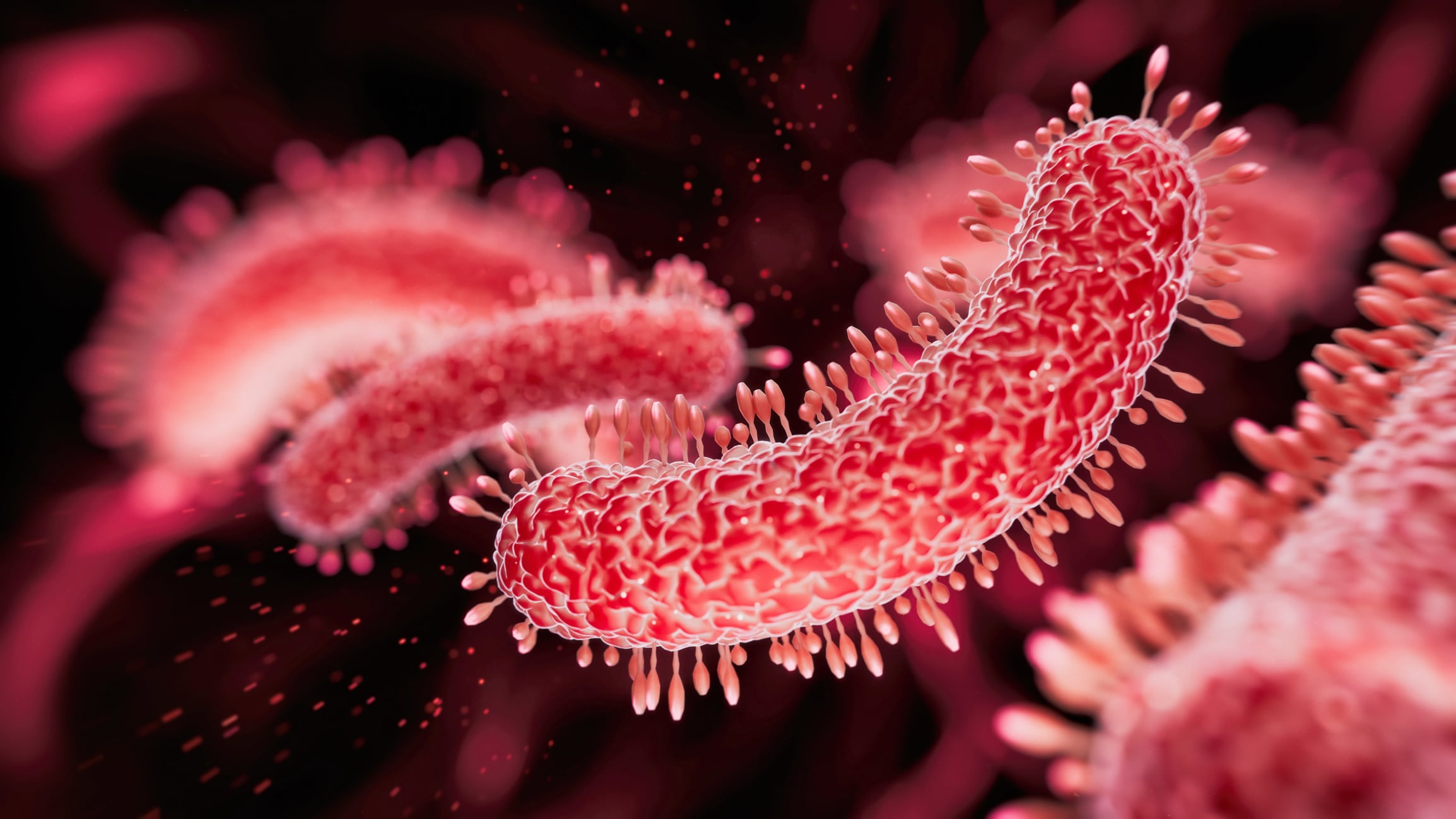 EFSA’s QPS update opens opportunities for microbial innovation