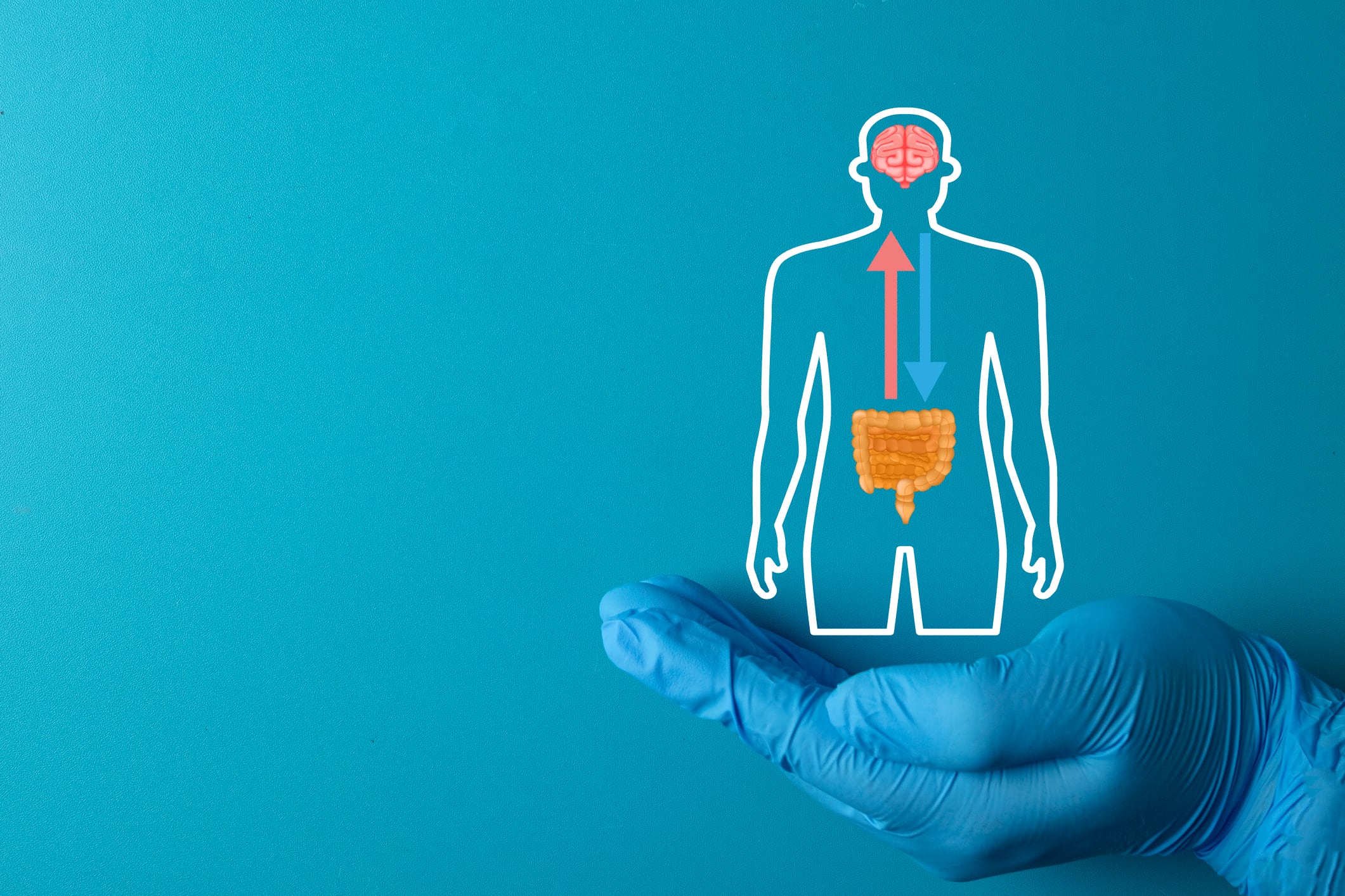 What’s next for psychobiotics? Precision nutrition and the future of mental health research