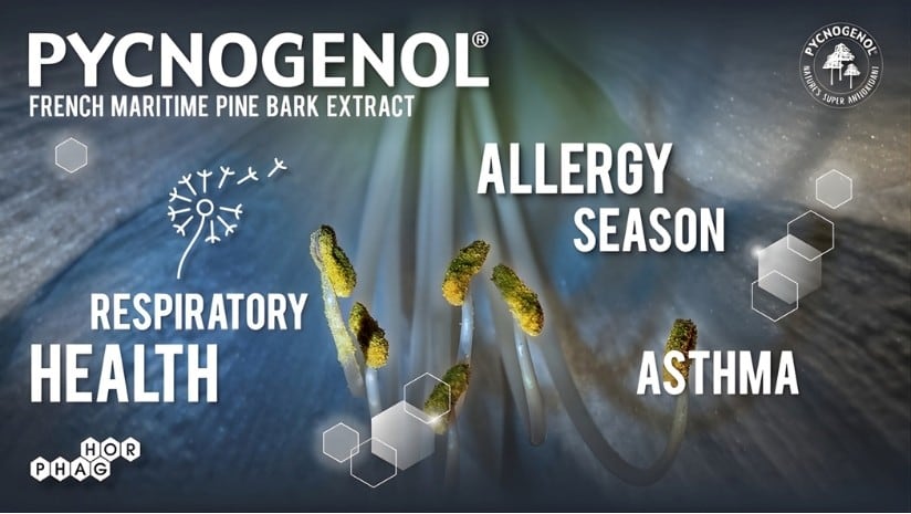 Pycnogenol® for Allergy Management