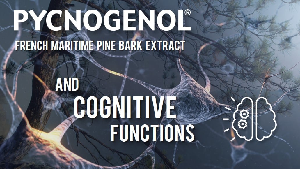 Pycnogenol®: Cognitive Functions Across Lifetimes