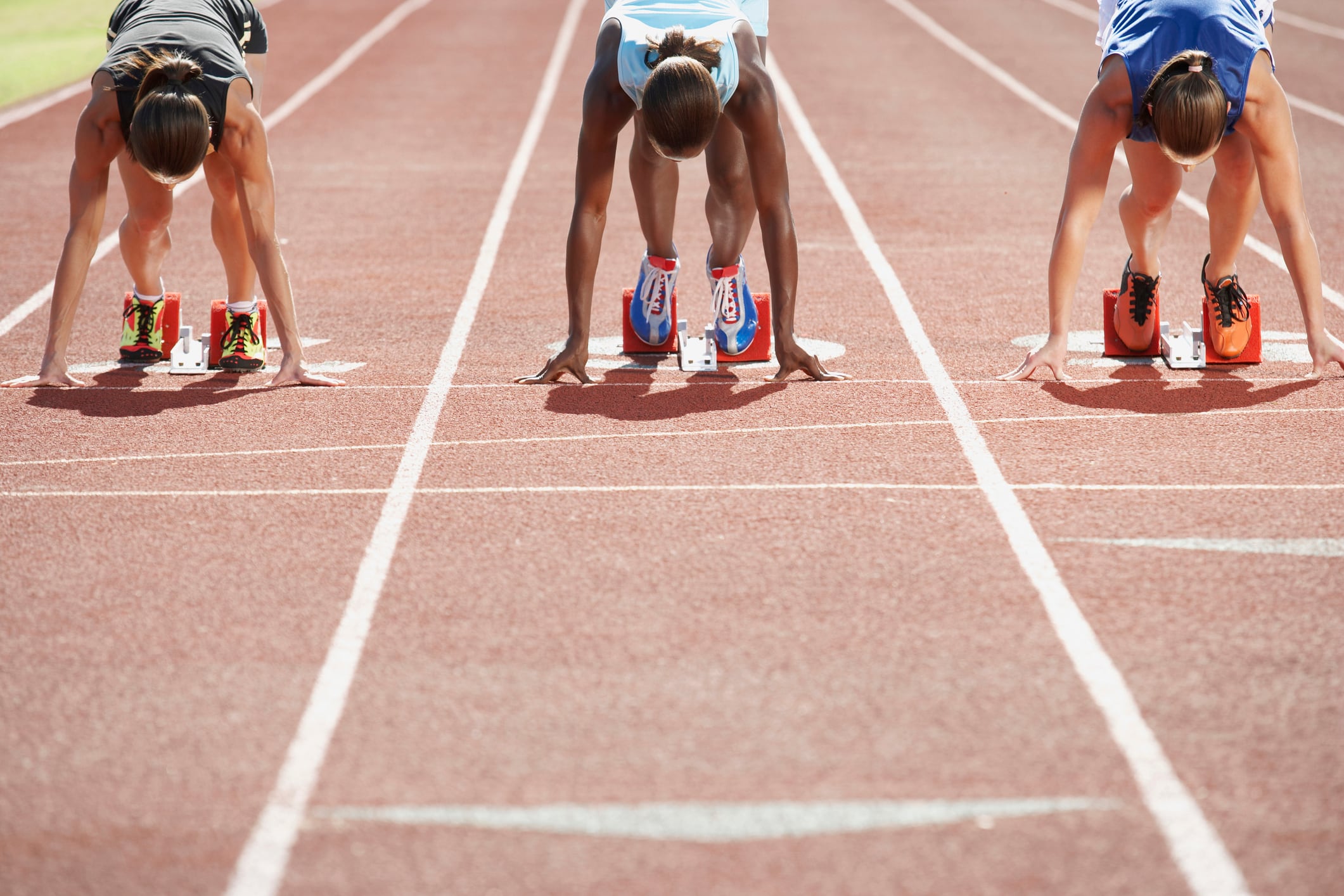 Collagen and plant-enriched curd shows sports nutrition potential  