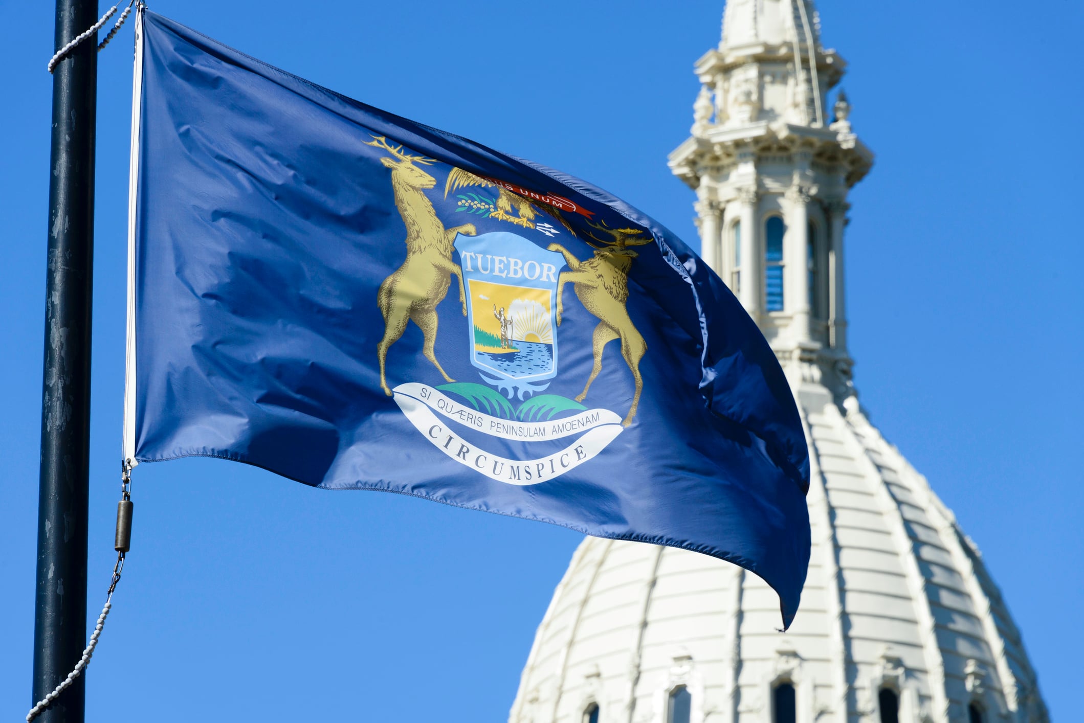 Michigan legislator introduces restrictive supplements bill