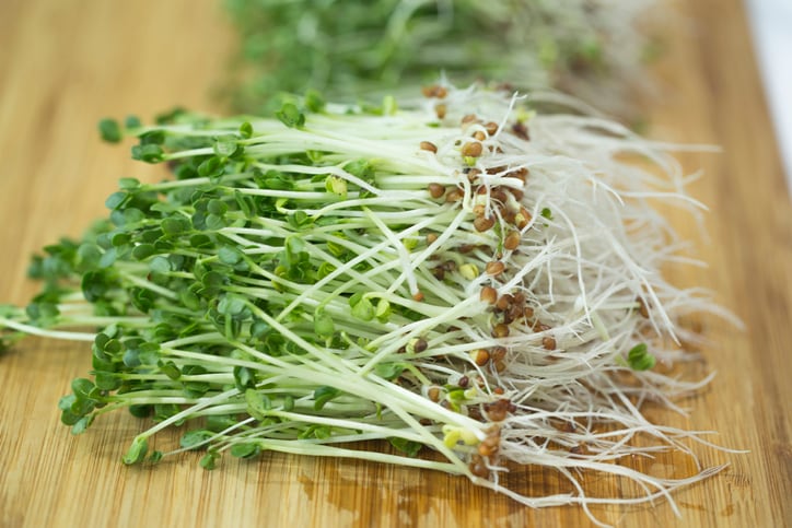 Broccoli sprouts’ bioactive shown to preserve cognitive function in seniors 