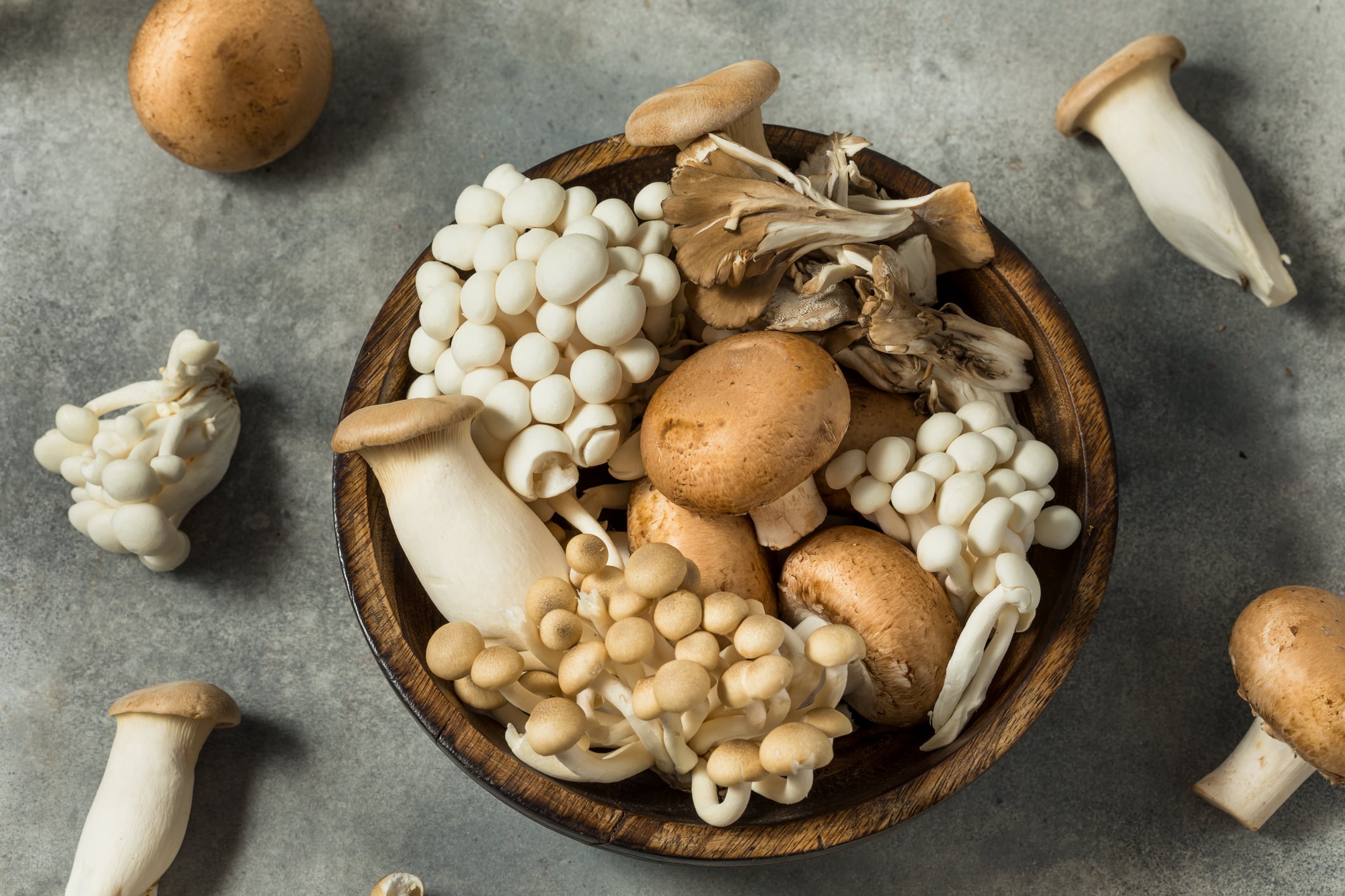 Musheez creates formulators’ guide to functional food and drink 