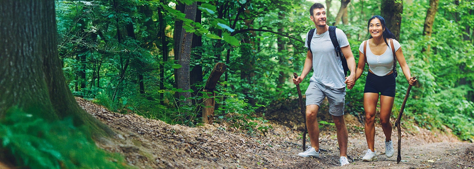 Iminosugars: Nature’s next-gen actives for mobility, sleep and whole-body wellness